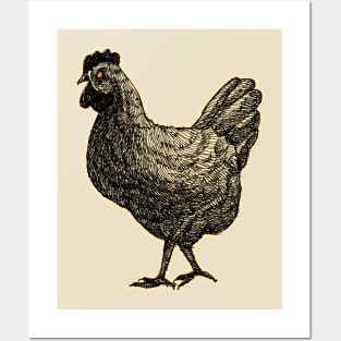 Lovely Hen Posters and Art